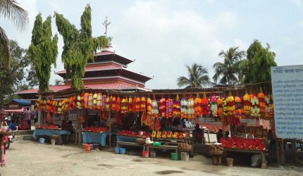 छिन्नमस्ता_मन्दिर_Chhinmasta_mandir_sapatri_सखडा 