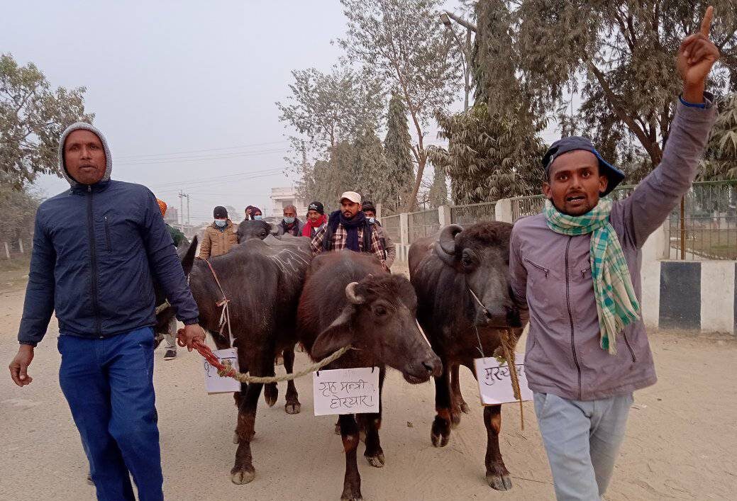 baisi_julus_siraha_nepalvani 