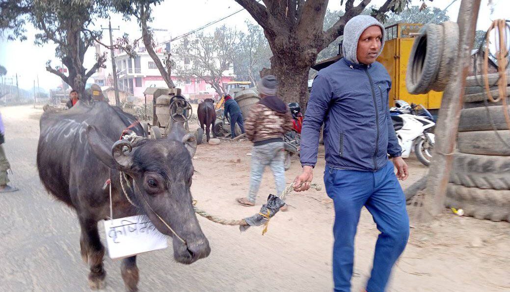 baisi_julus_siraha_nepalvani 