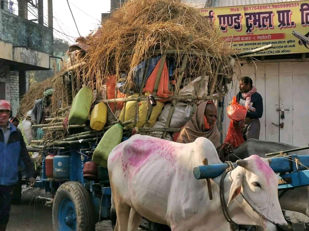 मिथिला परिक्रमा नेपलवानी_nepalvani_parikrama_mithila_madhesh1234