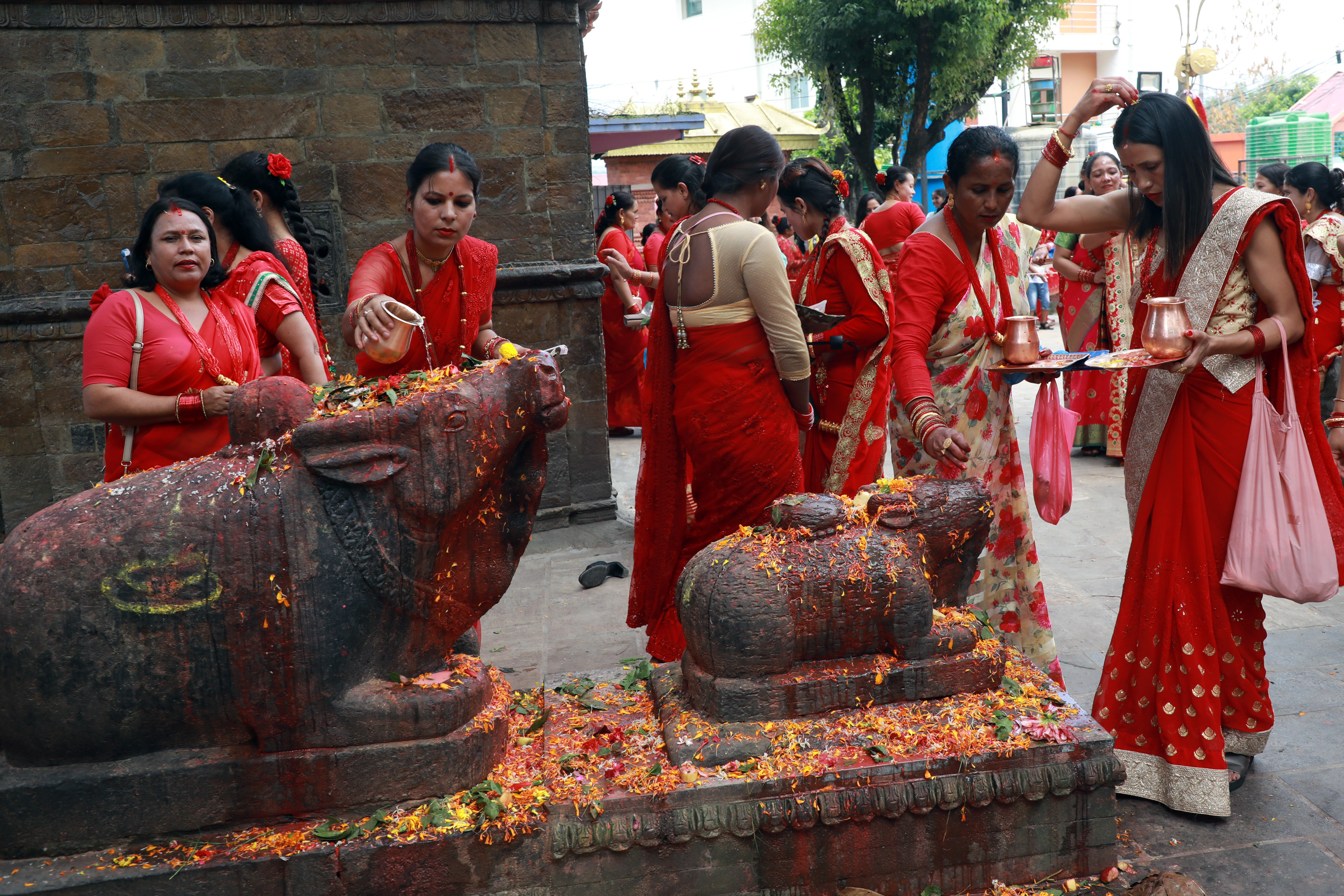 हरितालिका तीजको अवसरमा पशुपति मिन्दर परिसरमा नृत्य गर्दै महिलाहरु ।