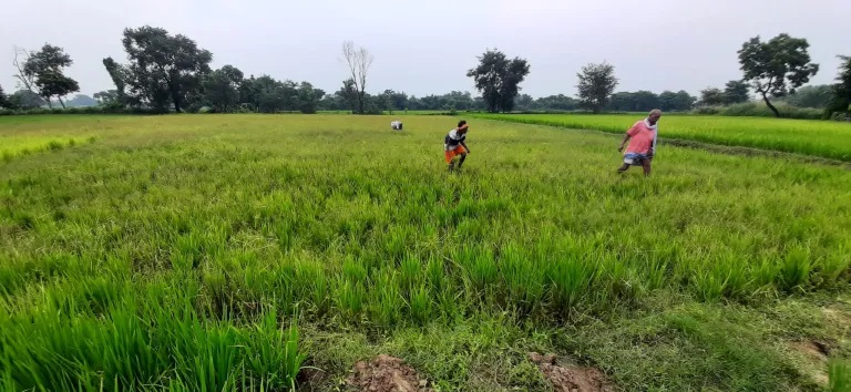 Kabja-gariyeko-Khet-1