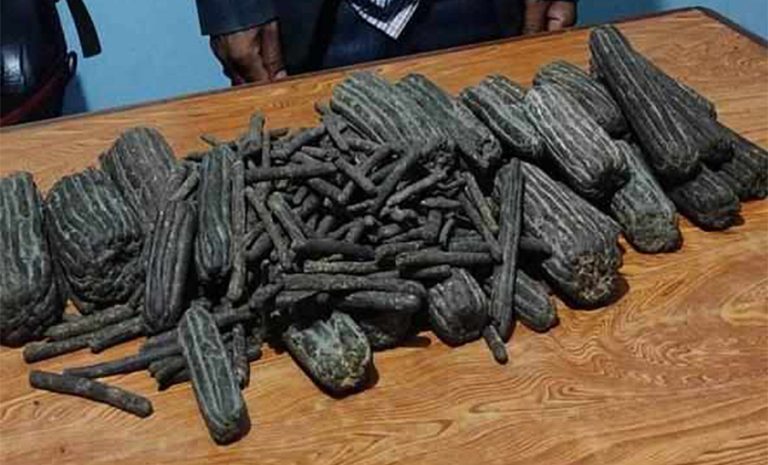 पर्सामा खेतबाट ५४ किलो चरेस बरामद