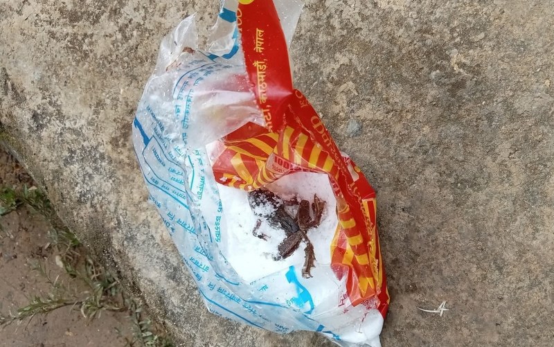 आयो नुनभित्र भ्यागुताको सुकुटी!