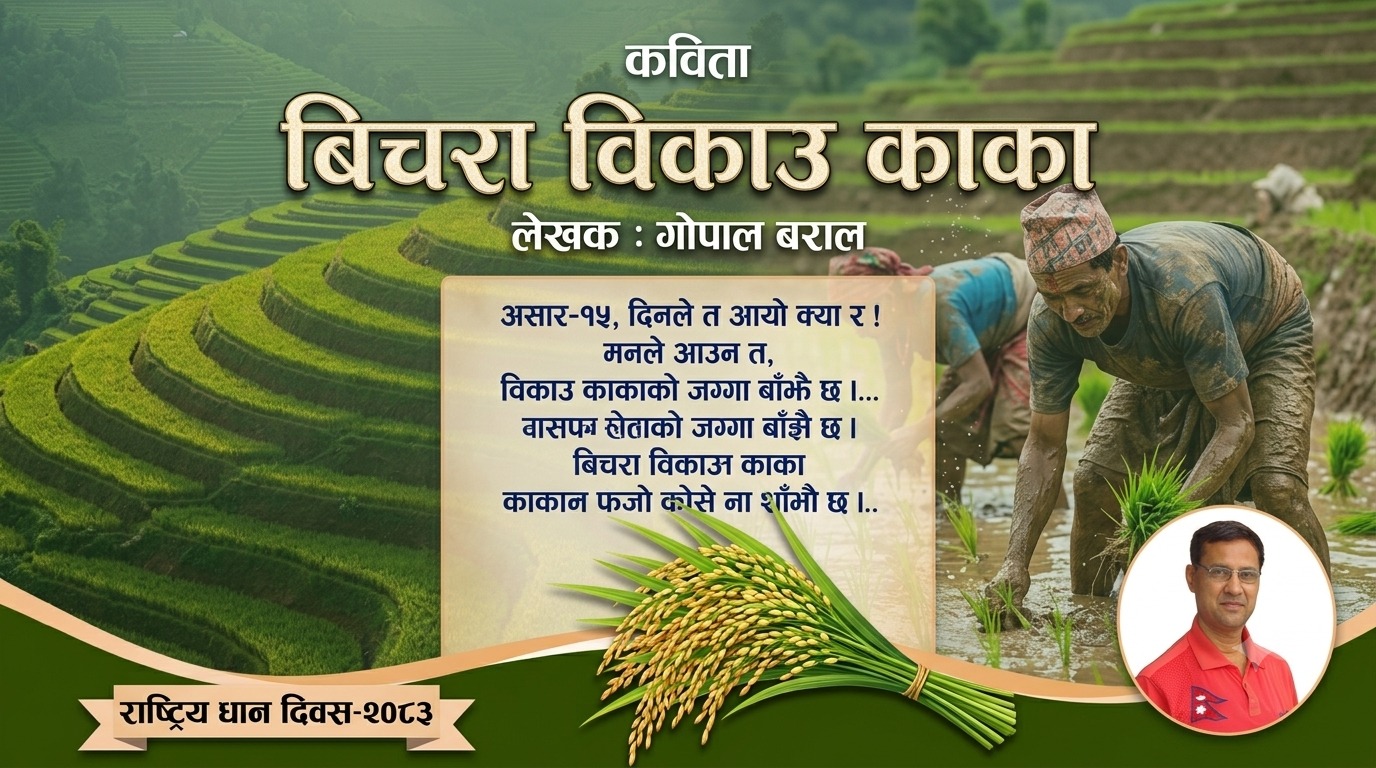 बिचरा विकाउ काका