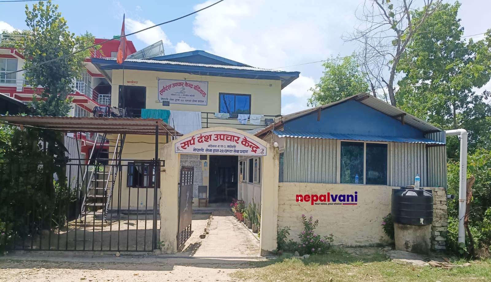 घट्दै सर्पदंशकाे उपचार लिने बिरामी